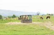 Centro di stagione cavallo In vendita Dr&ocirc;me