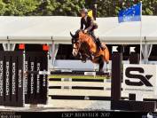 Tr&egrave;s joli poulain 2025