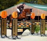 Tr&egrave;s joli poulain 2025