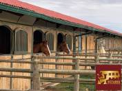 EXCLUSIVITE - Propri&eacute;t&eacute; Equestre sur 10 Hectares avec Man&egrave;ge