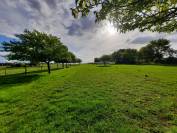 Propri&eacute;t&eacute; &eacute;questre de charme avec g&icirc;te - 15 mn de Royan