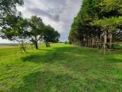 Propri&eacute;t&eacute; &eacute;questre de charme avec g&icirc;te - 15 mn de Royan