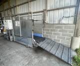 marcheur tapis Horse Gym 2000